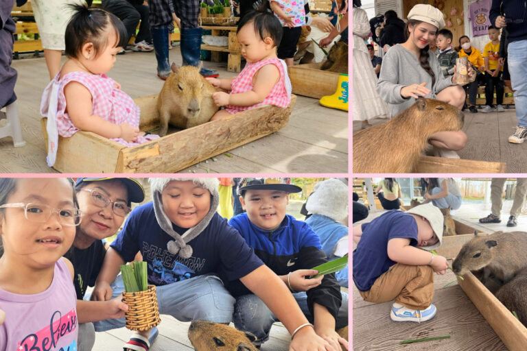 Review Cà phê có Capybara - Điểm đến check-in HOT 2024