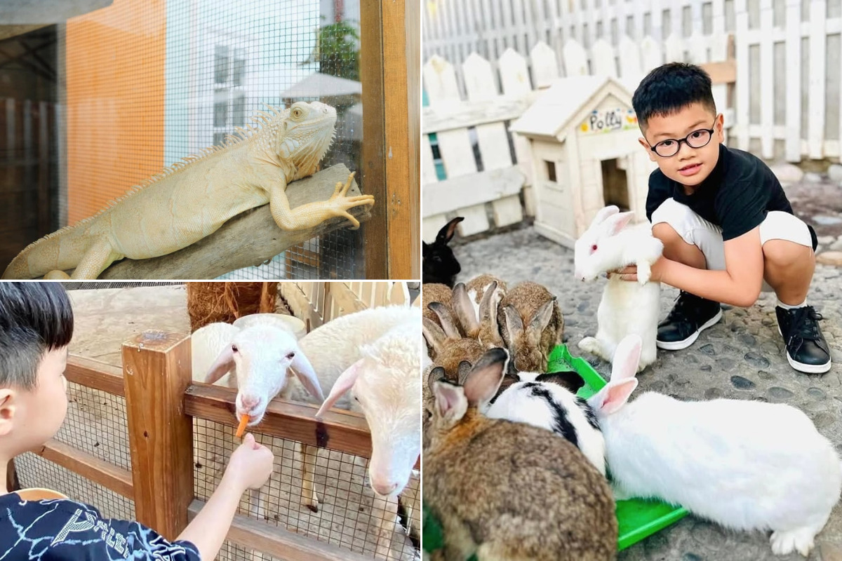 Kidoo Premium Kids Cafe Thủ Đức - ngoài trời