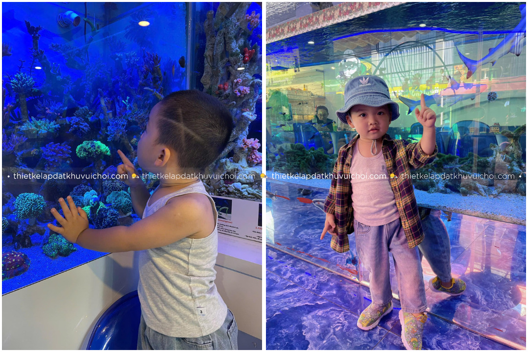 Thủy cung cho bé tại Sài Gòn