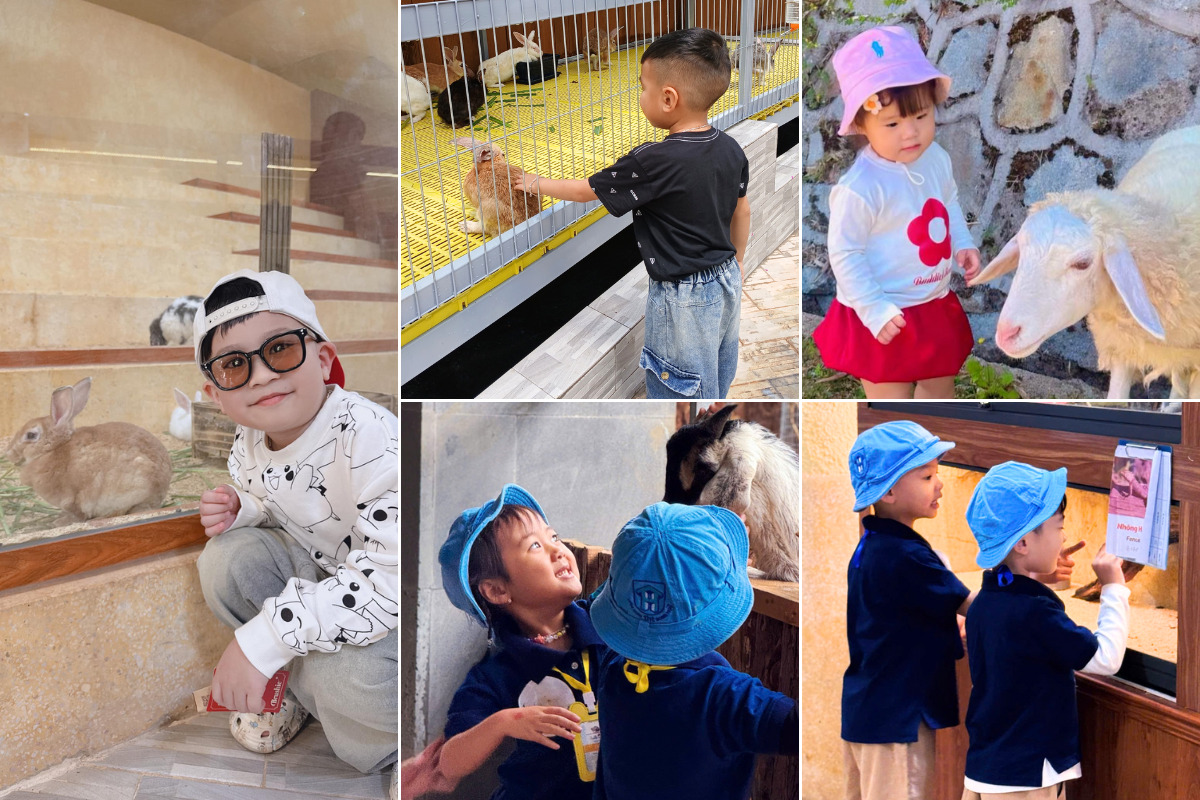 Sở thú trong nhà Fresh Zoo