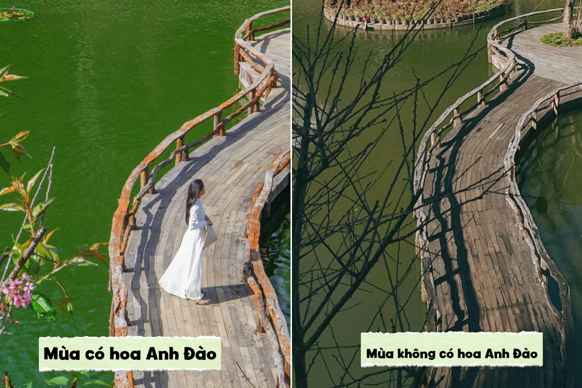 Thung lũng hoa Anh Đào