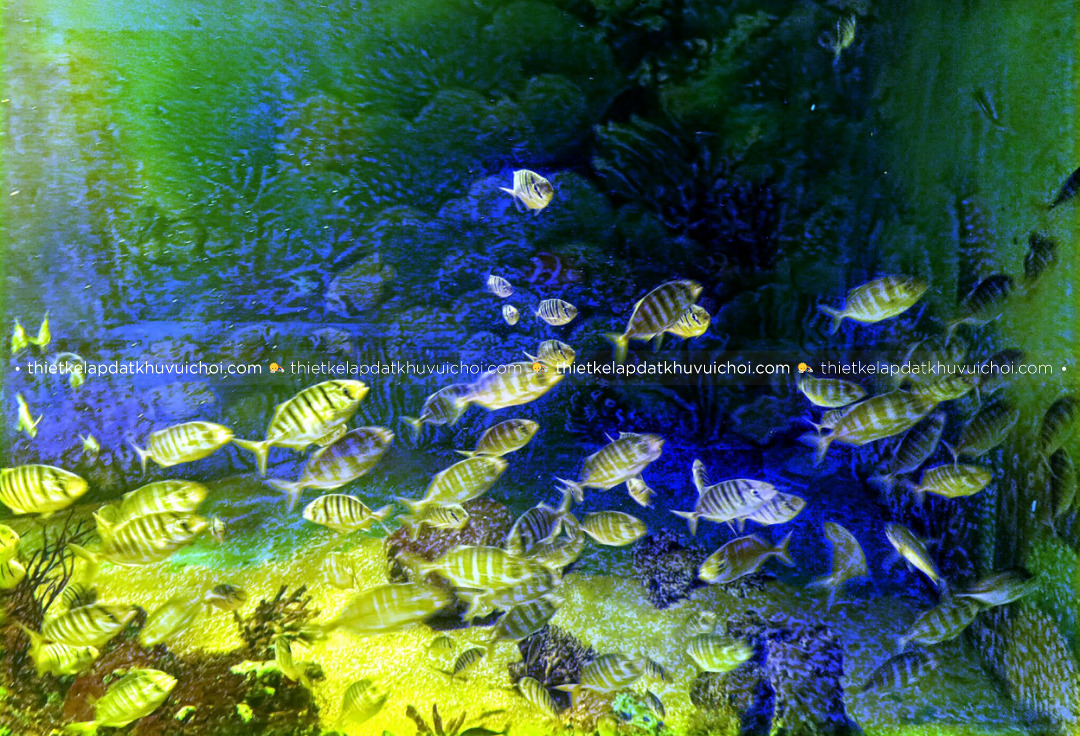 Thủy cung tại Đầm Sen