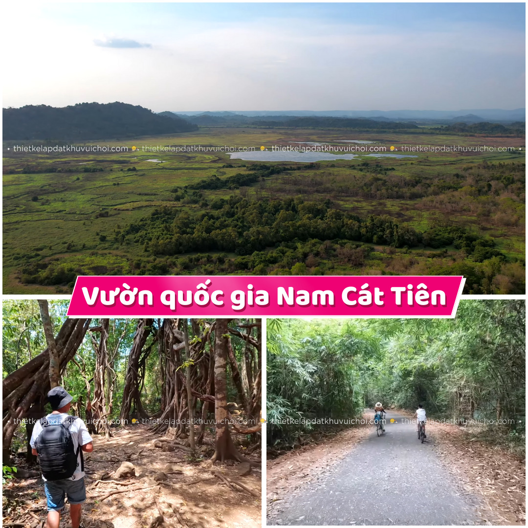 Cảnh rừng bạt ngàn tại Vườn Quốc gia Nam Cát Tiên