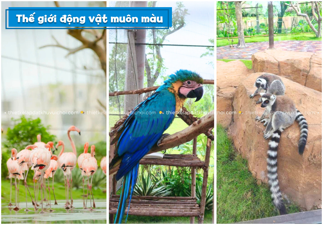 Thế giới động vật muôn màu tại VinWonders Vũ Yên