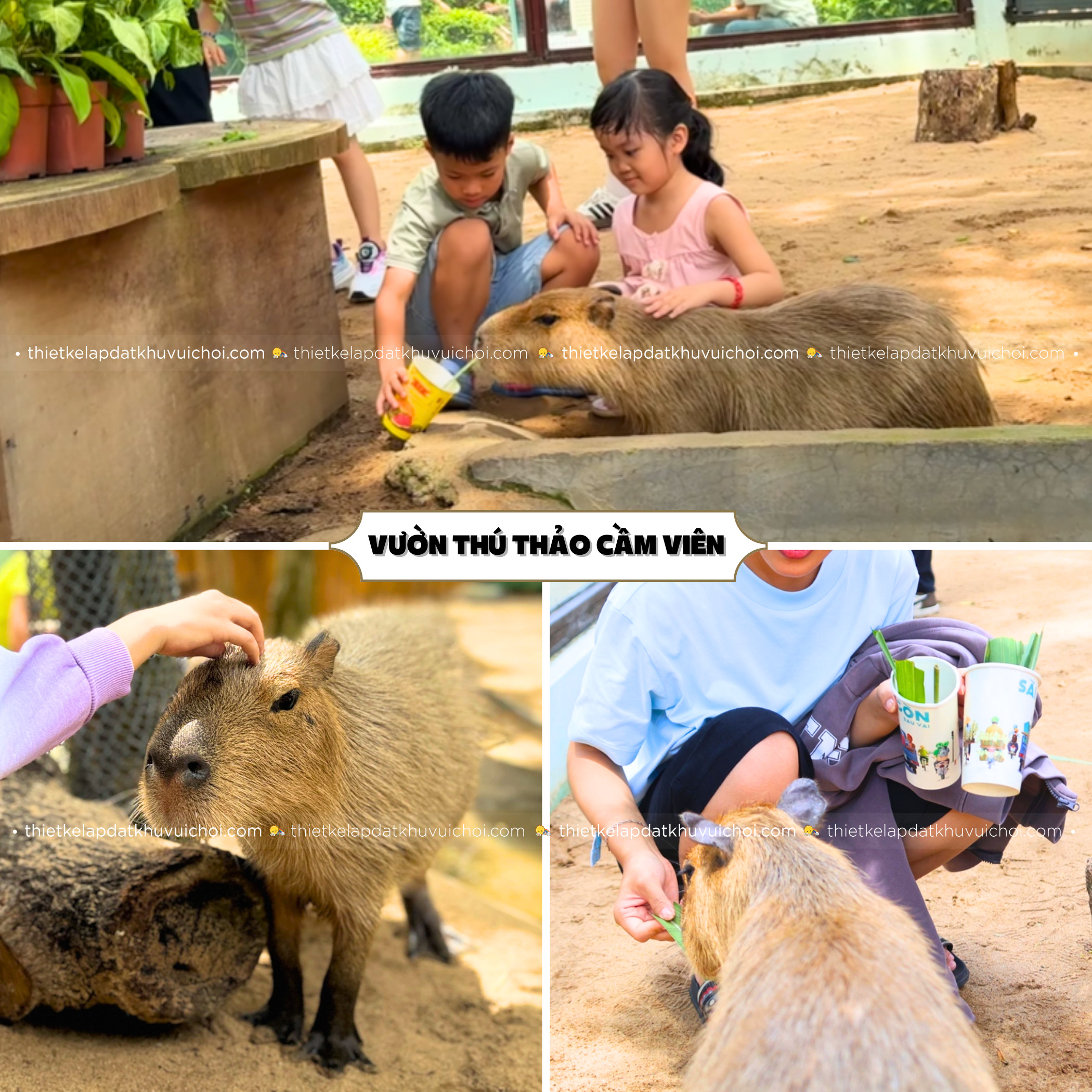 Bé cho động vật ăn tại vườn thú thân thiện Thảo Cầm Viên