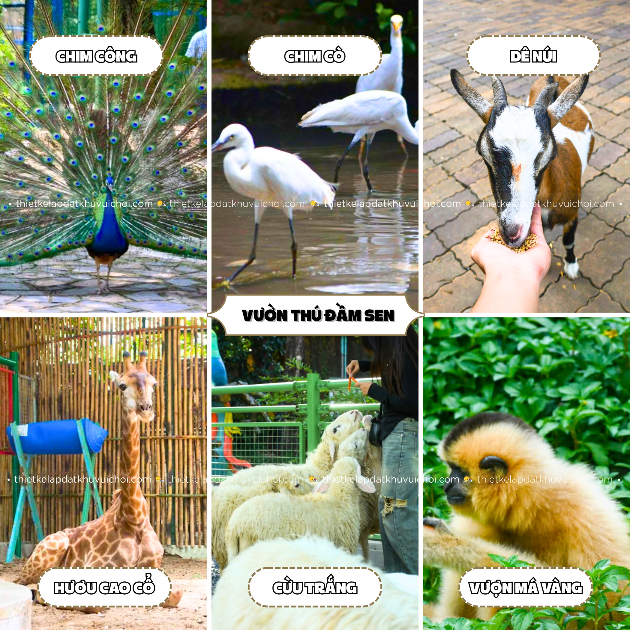 Động vật tại vườn thú ở Sài Gon ngoài trời - Đầm Sen