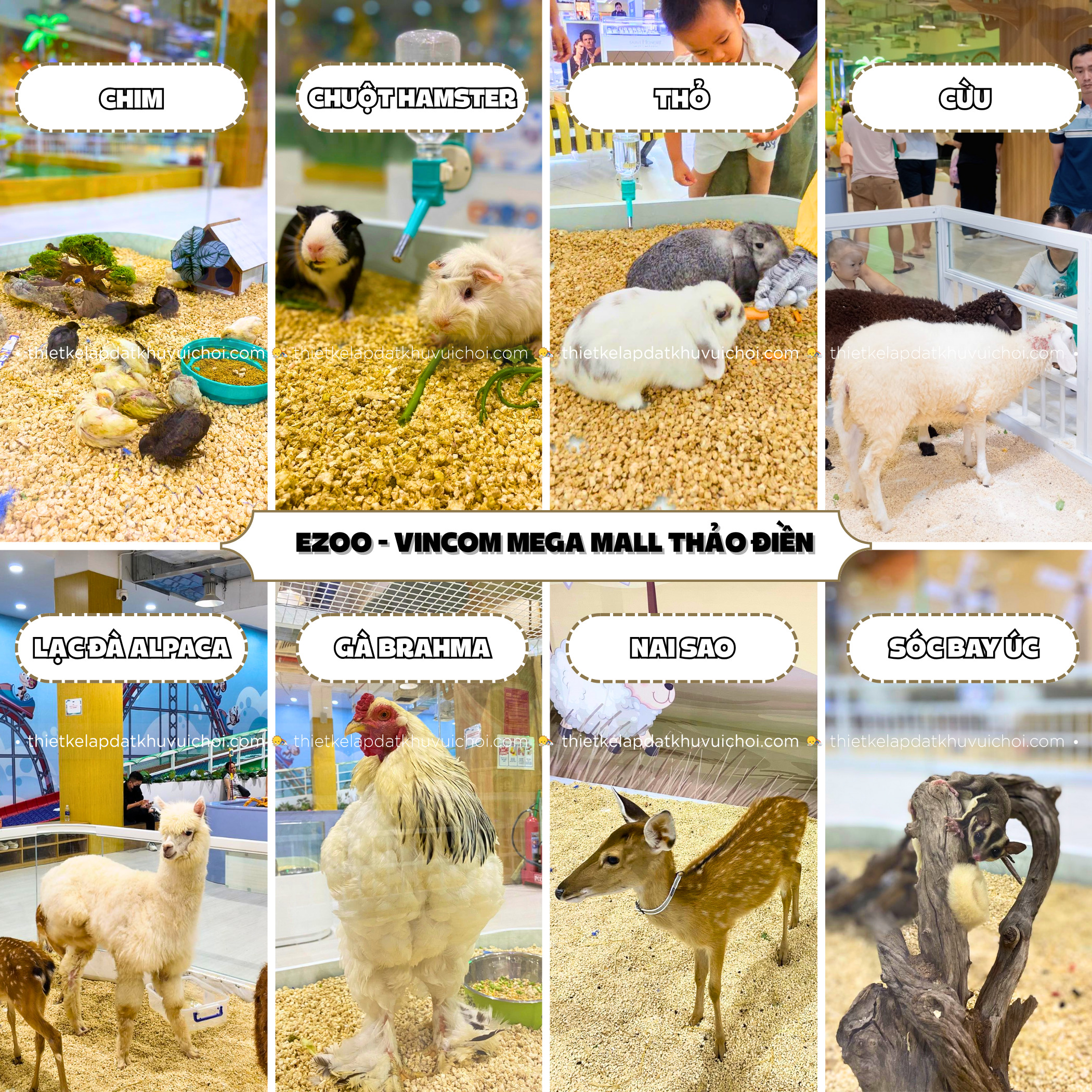 Động vật tại vườn thú ở Sài Gòn trong nhà Ezoo