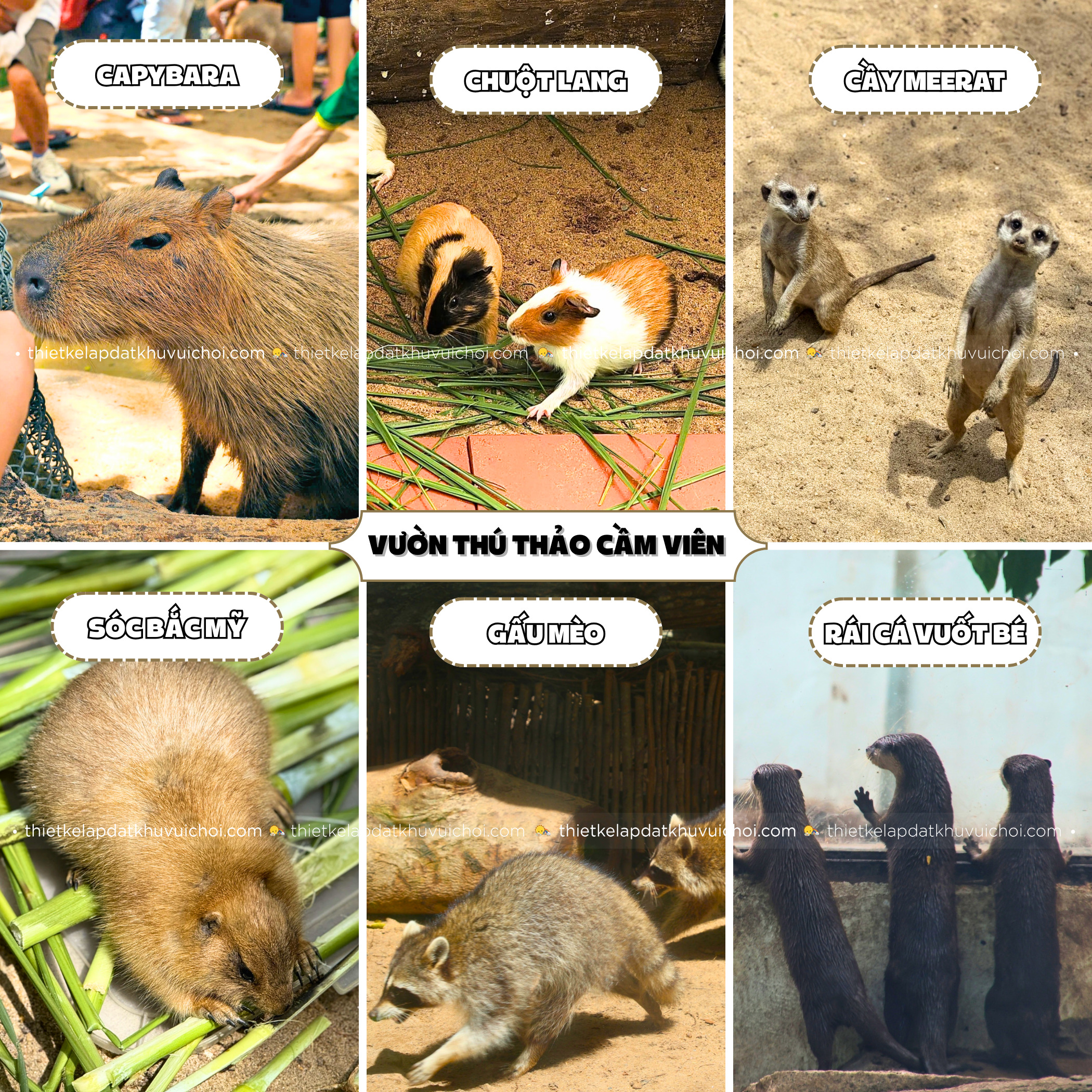 Động vật tại vườn thú thân thiện Thảo Cầm Viên - vườn thú ở Sài Gòn ngoài trời