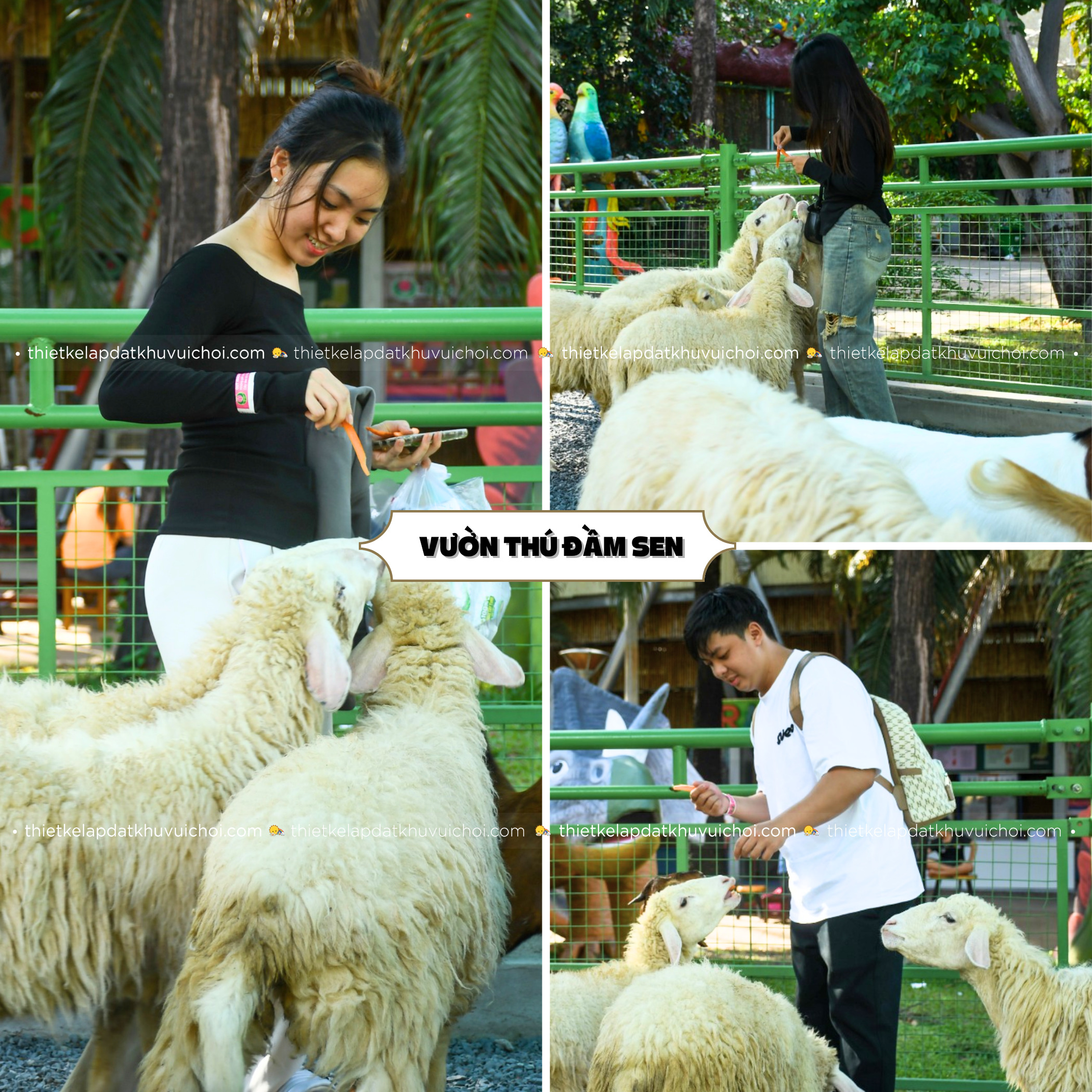 Khách tương tác với động vật tại Đầm Sen