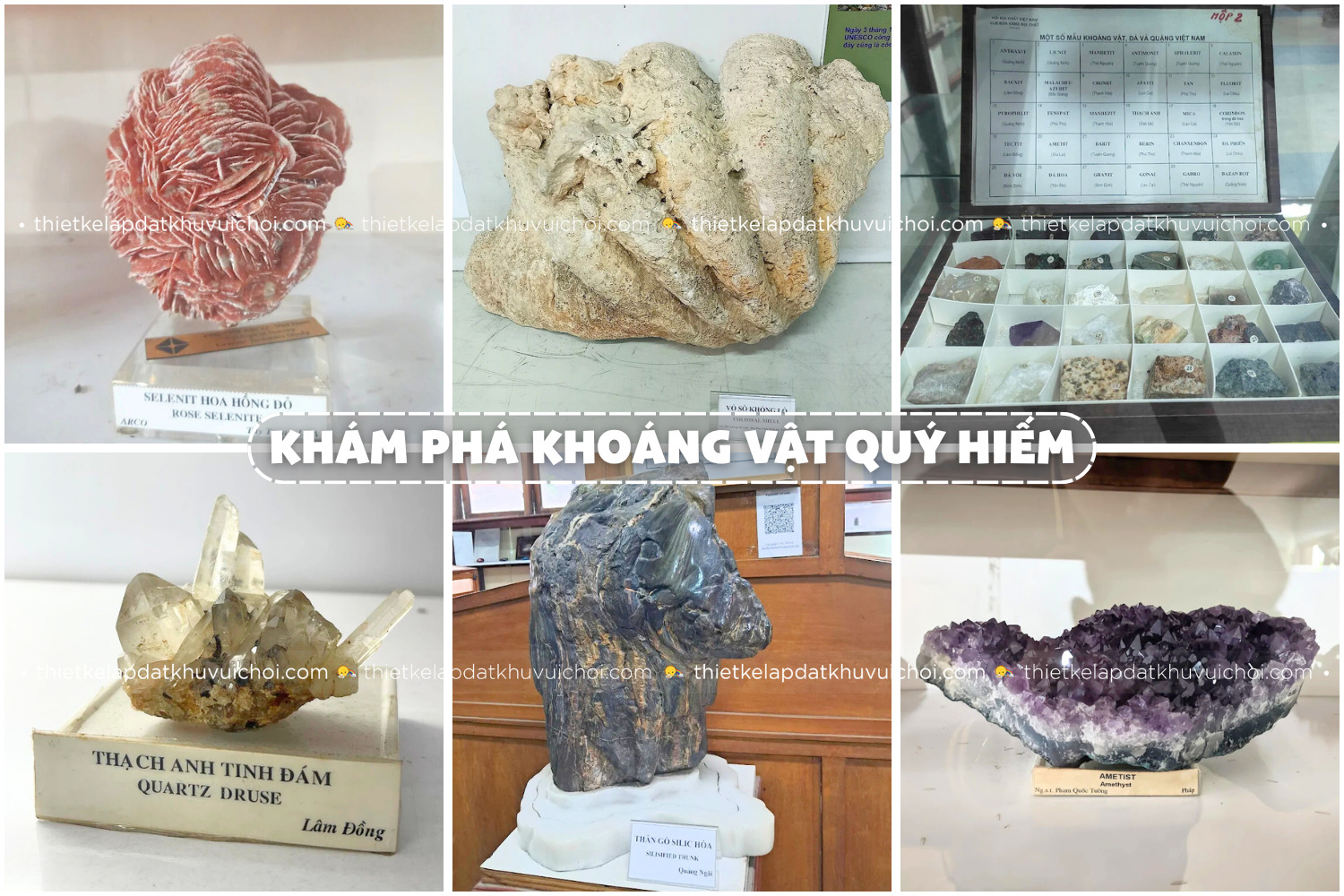 Bộ sưu tập khổng lồ về các khoáng vật, cổ sinh vật vô cùng quý hiếm