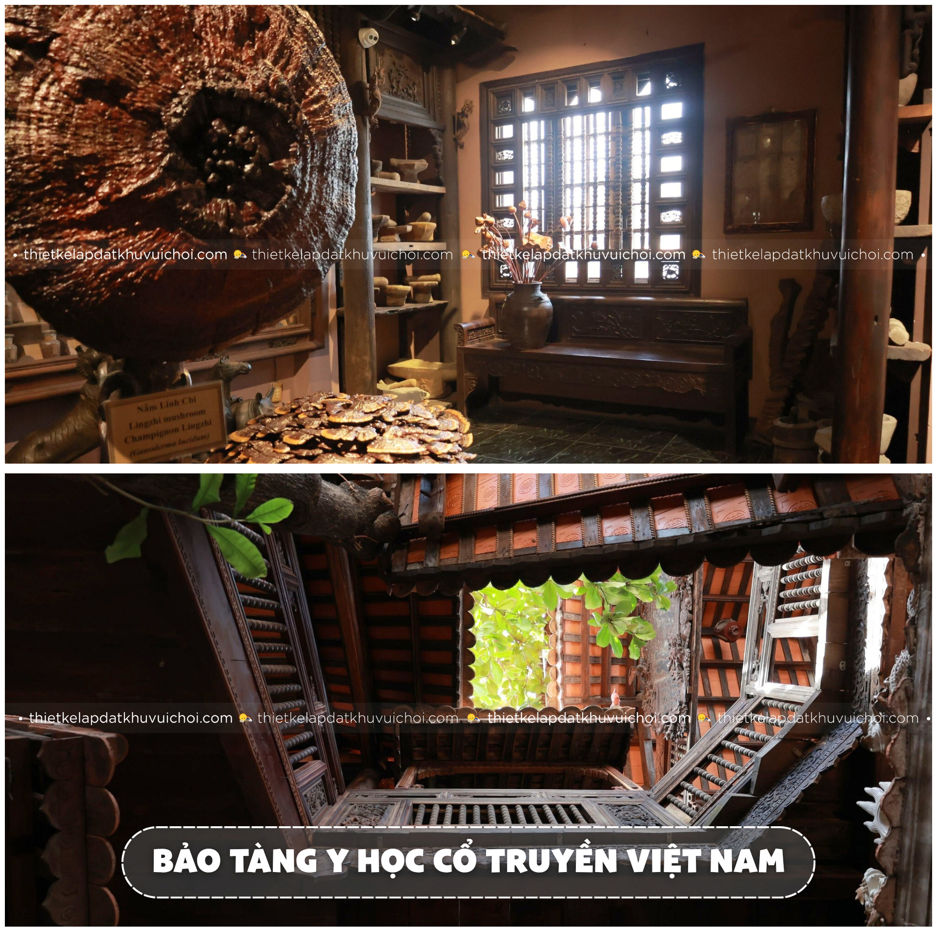 Khám phá 6 tầng lầu tại Bảo tàng ở TPHCM về y học cổ truyền của Việt Nam