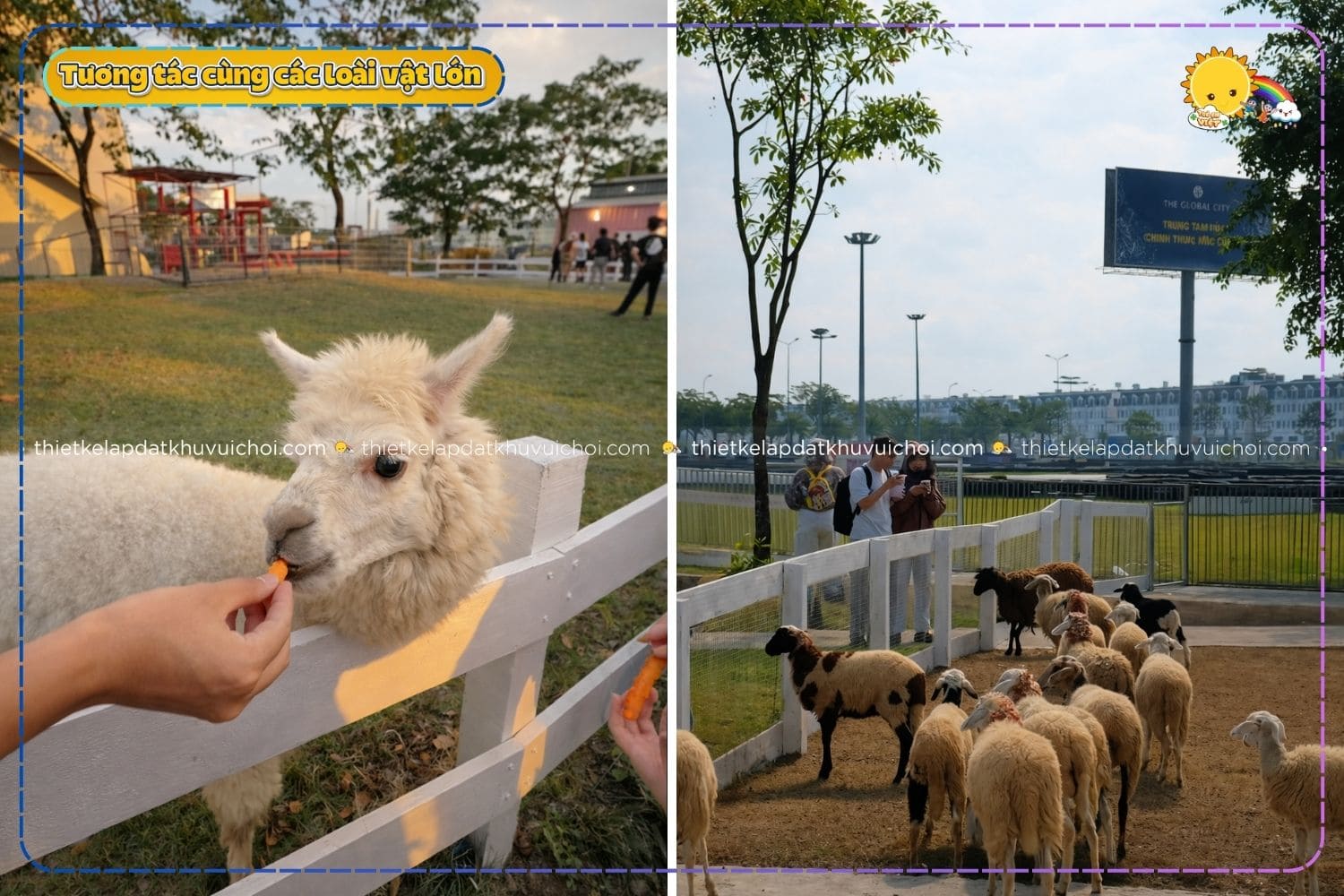 Hoạt động trải nghiệm thiên nhiên thú vị cho bé cùng các loài vật hiền lành tại Mật Pet Farm