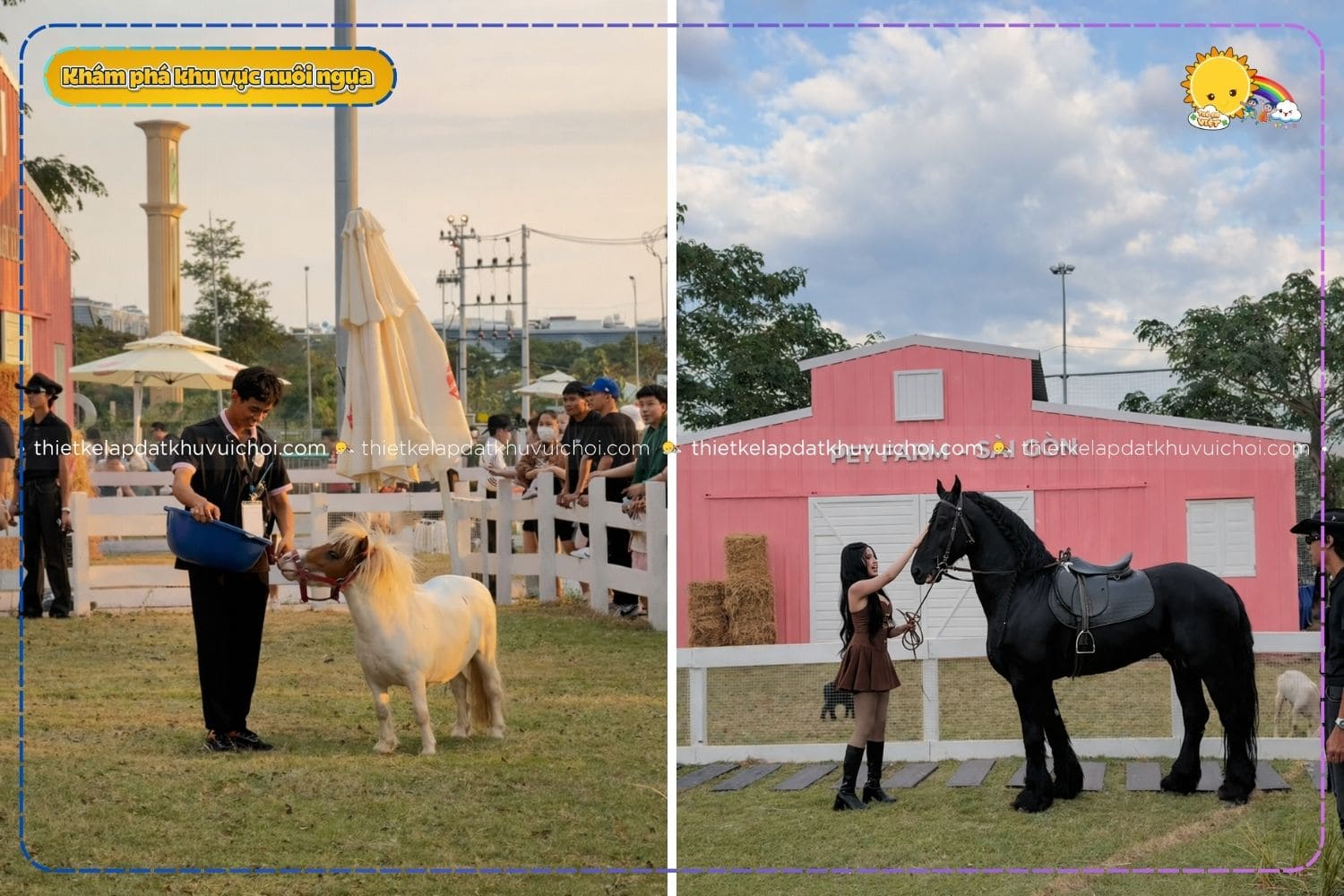 Trải nghiệm tương tác cùng ngựa lùn Pony và "chiến mã đen" trị giá 2 tỷ trong khuôn viên nông trại