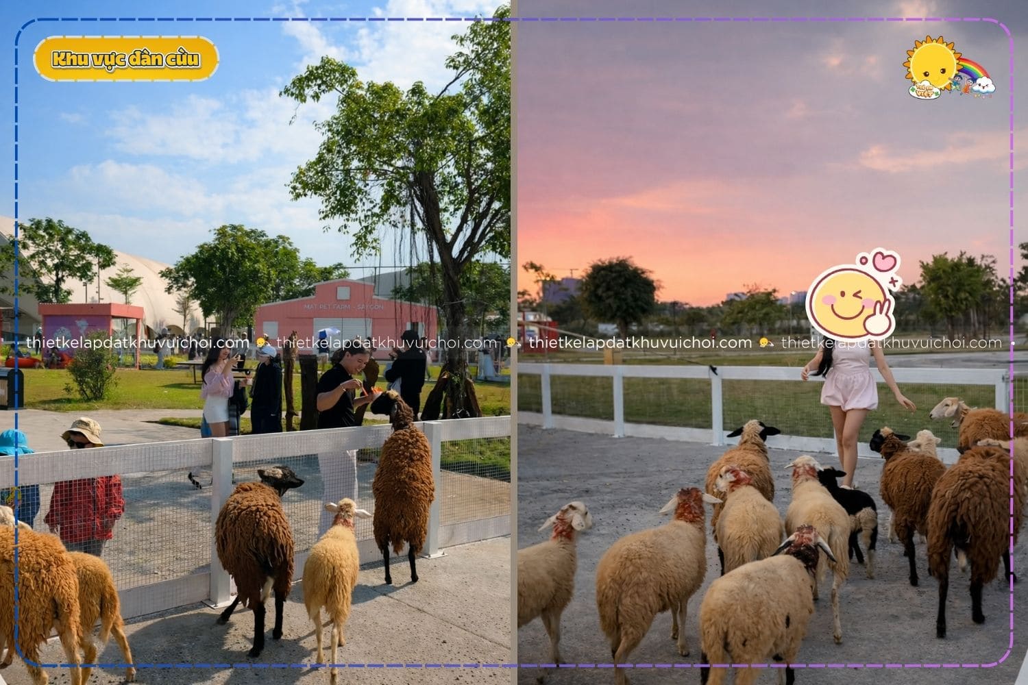 Khách tham quan cho cừu ăn tại nông trại