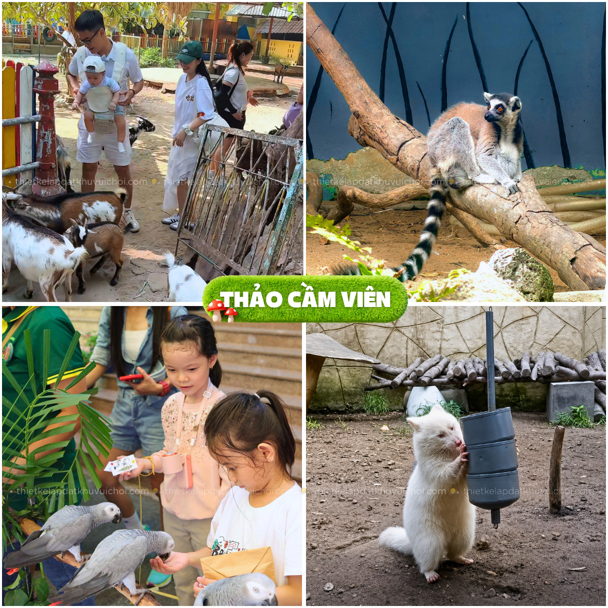 Các bé có cơ hội tiếp xúc gần gũi cùng những bé động vật đáng yêu
