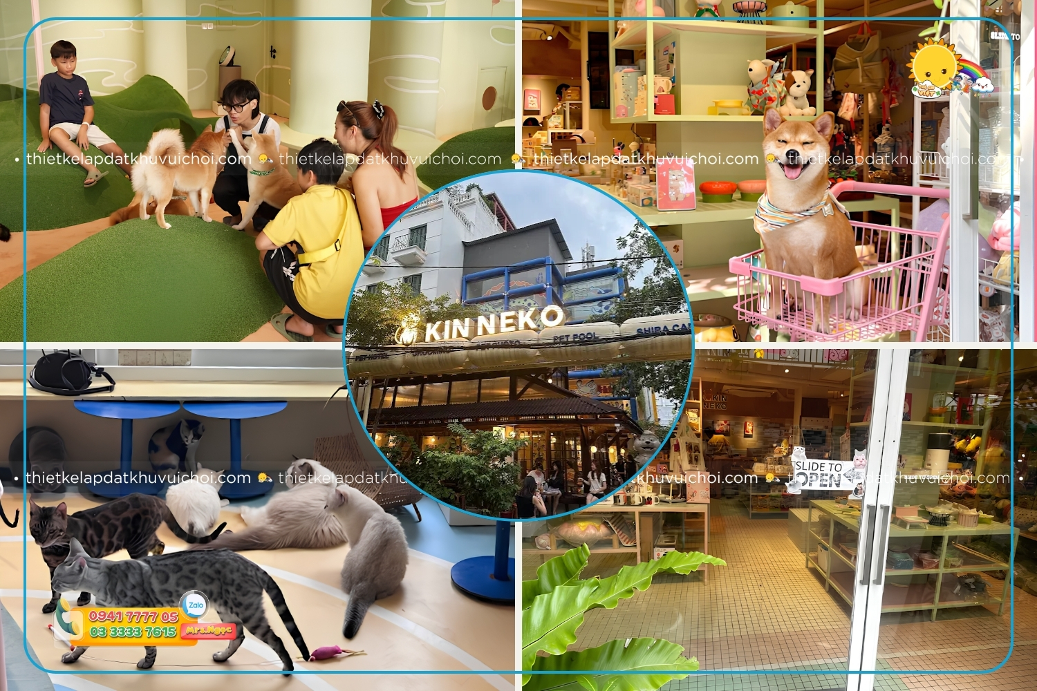 Quán cà phê thú cưng - Kin Neko Dog & Cat Cafe
