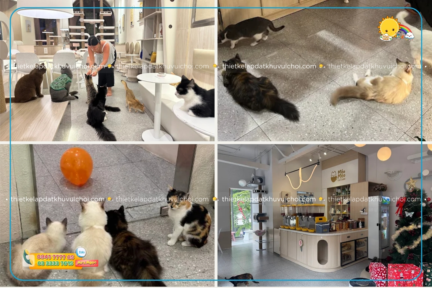 Quán cà phê thú cưng - Méo Meo Cat Cafe